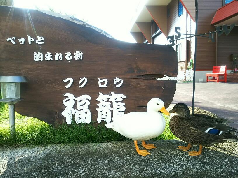 Villa Fukurou Kushimoto Exterior foto